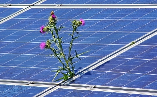 CC522 Photo ref 1.jpg